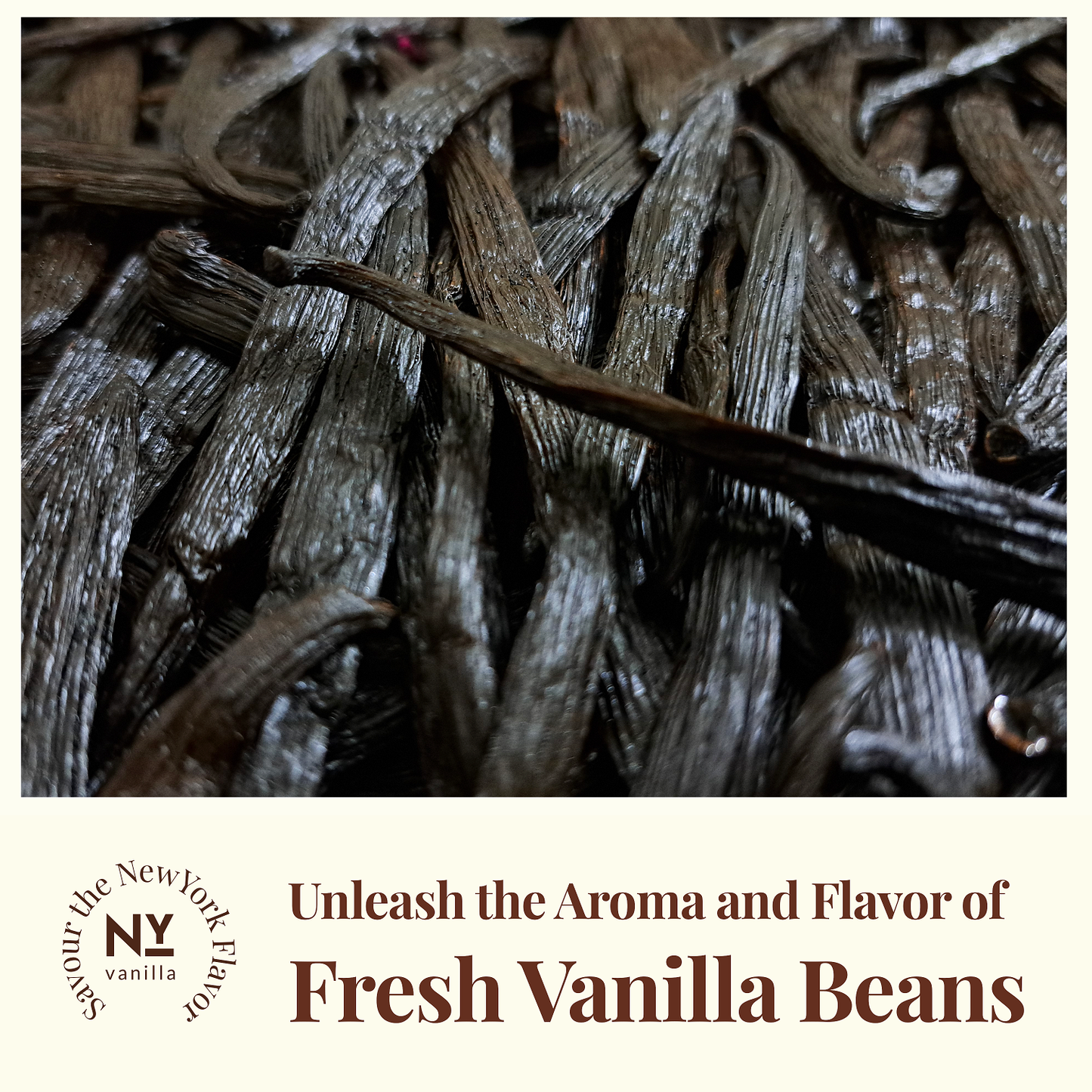 500 Grams Whole Premium Bulk Vanilla Beans Grade A  – Perfect For Making Vanilla Extract Baking, & More