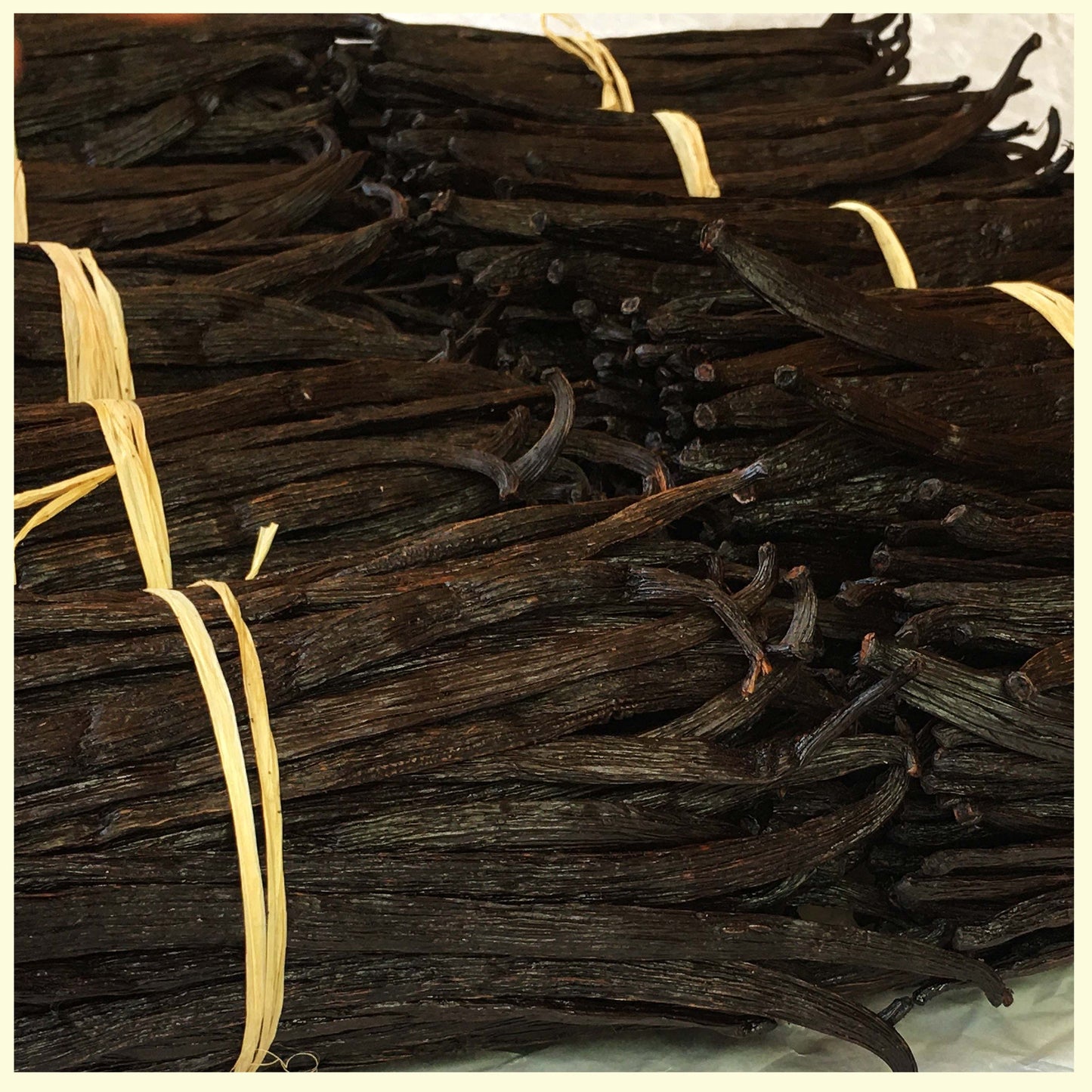 Wholesale Vanilla Beans