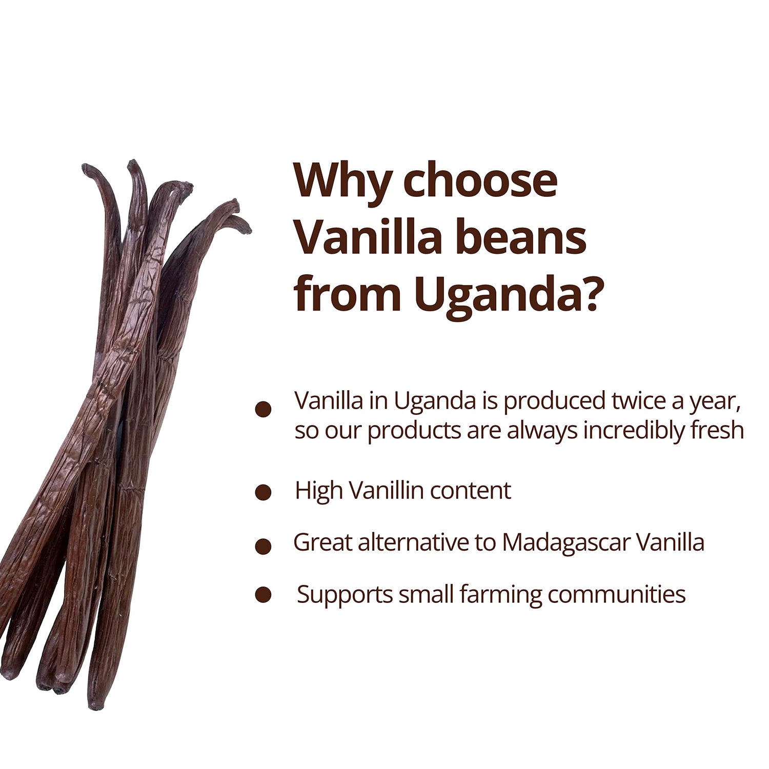 Why choose vanilla beans from Uganda?   Vanilla in Uganda is produced twice a year, so our products are always incredibly fresh..  - high vanillin content  - Great alternative to Madagascar vanilla -- supports small farming communities